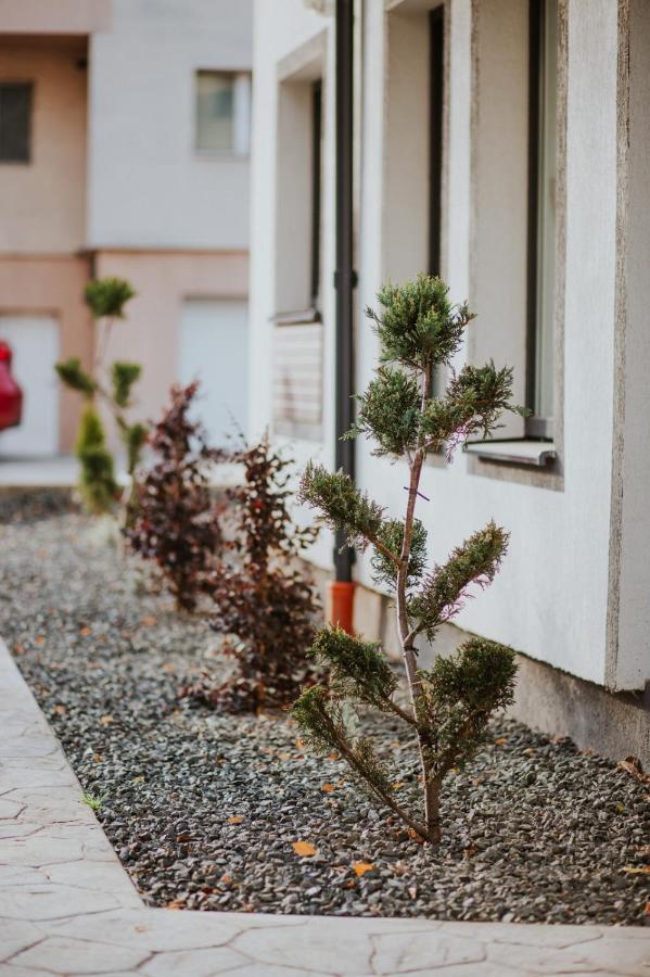 The Nook Aparthotel Temeşvar Dış mekan fotoğraf